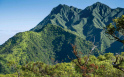 植物微生物如何养活世界并拯救濒危物种