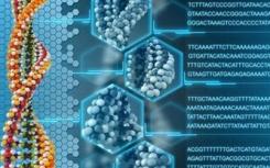 英国的婴儿现在如何合法地拥有来自三个人的DNA