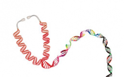 NHGRI扩大了测序计划重点关注遗传性疾病医学应用