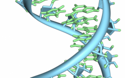 未发现CRISPR-Cas系统的新细菌防御机制