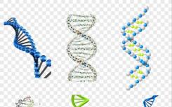 碘确保成功解决生物分子结构