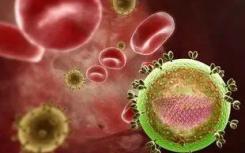 揭示HIV-1的亲属Avian肉瘤病毒组装的关键机制