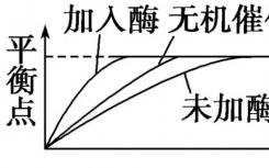 膜转换中的平衡作用  将胞吞作用与膜再循环联系起来的酶