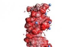 离子与生物分子相互作用的新型动态探针