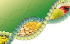有史以来最大规模的研究揭示了转基因作物对环境的影响