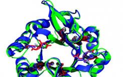 研究人员开发了一类新的人工蛋白质