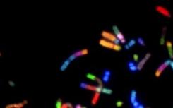 阿斯利康英国癌症研究中心将成立功能基因组学中心