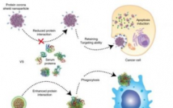 纳米粒子在抗击癌症方面的突破