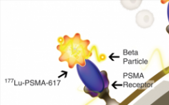 诺华制药以21亿美元收购Endocyte 扩大RLT治疗前列腺癌的渠道