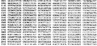 科学家解开DNA序列的秘密