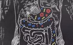 科学家开发了用于分析肠道细菌的有力方法