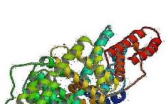 科学家发现蛋白质在基因组稳定性和可能的​​癌症预防中起主导作用