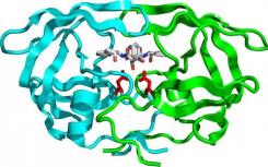 新的CRISPR-Cas9变体可以响应病毒蛋白酶