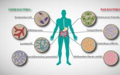 肠道微生物寄生虫导致好细菌死亡