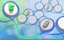 研究描述了表观遗传损失 它改变了细胞从癌症中获取能量的方式