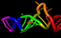 RNA seqFISH +在组织中的转录组规模超分辨成像