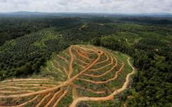 土地利用相互作用塑造了热带山区生物多样性和生态系