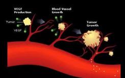 一种刺激血管生成的简单方法