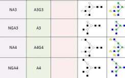 将HIV-1包膜糖蛋白结构与smFRET观察到的病毒状态联系起来