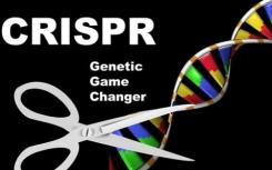 CRISPR排名前600位癌症目标