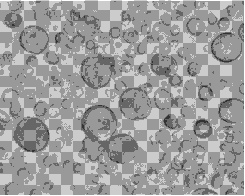 科学家们发现了精原干细胞自我更新因子的新功能