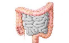 研究发现罕见的肠道状况更可预测个体的基因组成