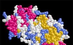 直接可视化蛋白质解聚分子机器的动态结构