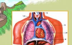 第一个3D工程血管化人类心脏生物打印