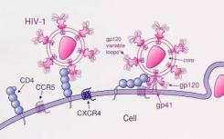 研究人员首次使用CRISPR在细胞外编辑DNA