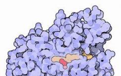 酶发现使得首次微生物生产芳香生物燃料成为可能