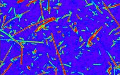 研究人员为“活”极端微生物标记开发染料