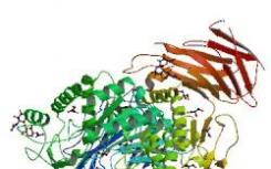 改变酶用于清洁能源和疾病预防