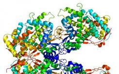 研究人员使用基因组学来解决一项为期20年的案例研究