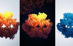 科学家用近原子分辨率可视化关键DNA修复组件的结构