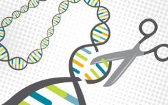 发现有助于提高CRISPR-Cas9基因编辑的准确性