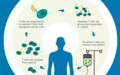 改善针对实体瘤的CAR T免疫疗法结果