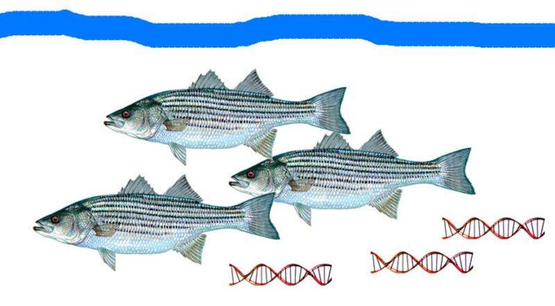 自由浮动的eDNA识别海洋生物的存在和丰富