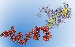 科学家们发现了控制衰老的新分子途径