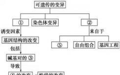 遗传变异将左手与脑结构和精神疾病联系起来