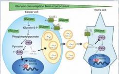 AMSBIO提供广泛的外泌体分离和检测试剂盒