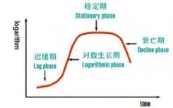 遗传振荡器捕获肠道微生物组生长模式的变化