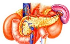 EUS-FNA可以帮助医生更有效地处理某些胰腺病变
