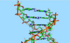 研究人员发现隐藏在DNA中的第二个密码