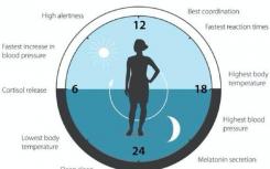 NJIT教授获得富布赖特美国学者奖参加生物钟研究项目