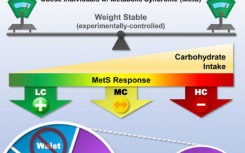 低碳水化合物饮食使代谢综合征患者受益 而与减肥无关