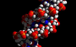 突破性的粘着素研究描述了折叠基因组的分子动力