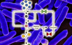 控制微生物代谢的新方法