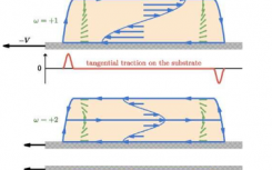 布里斯托尔大学的科学家们通过描述活性物质的无牵引自推进力