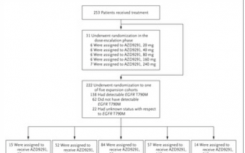 Rociletinib在EGFR突变及AZD9291用于抗EGFR抑制剂