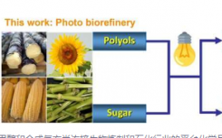 新型光催化方法将生物多元醇和糖类转化为甲醇和合成气